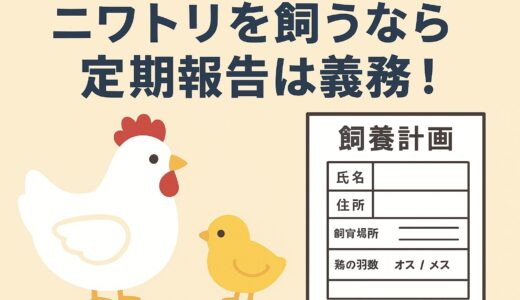 知らないと損する？ニワトリ飼育には“定期報告”の義務があります！