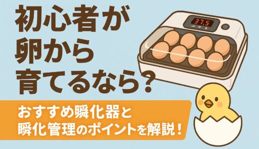 初心者が卵から育てるなら？おすすめ孵化器と孵化管理のポイントを解説！