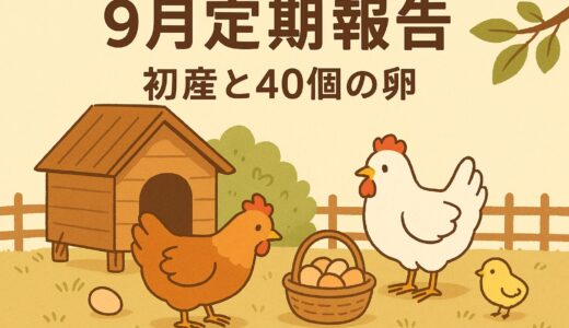 【9月定期報告】初産＆40個の卵！少数飼育のリアルな1か月