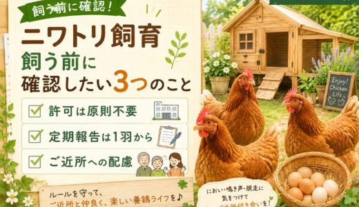 ニワトリの飼育に許可はいる？届出のルールを解説