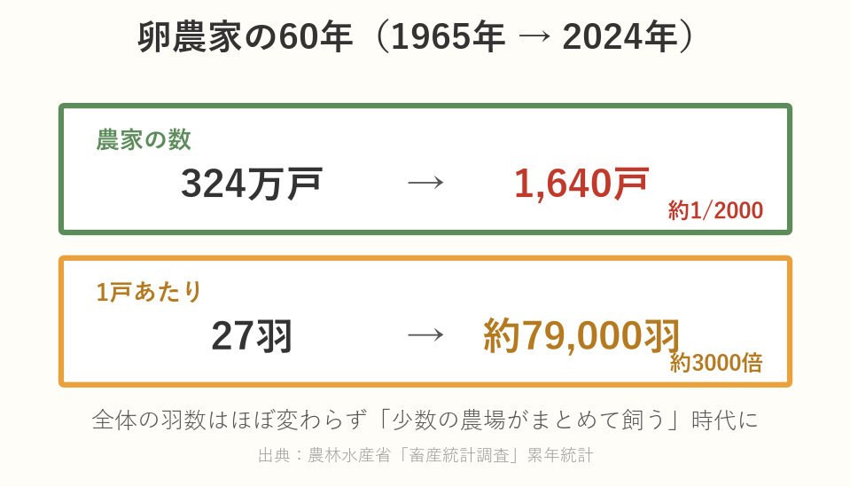 卵農家の戸数と1戸あたり羽数の推移を示す図（1965年の324万戸・平均27羽から2024年の1,640戸・平均約79,000羽へ）