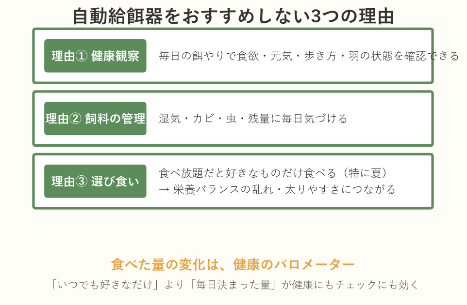 自動給餌器をおすすめしない3つの理由（健康観察・飼料管理・選び食い）