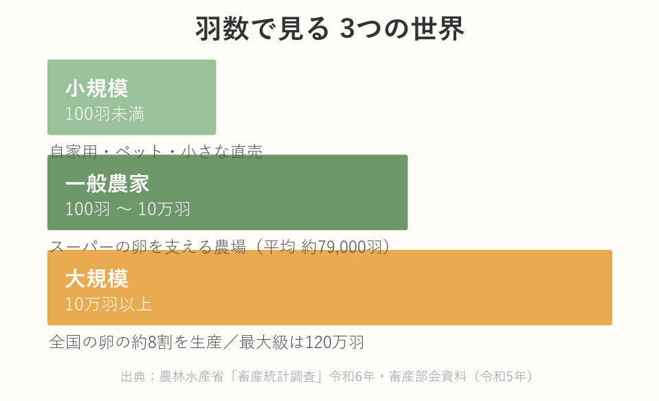 羽数で見る養鶏の3つの世界のイメージ図（小規模100羽未満・一般農家100羽〜10万羽・大規模10万羽以上）