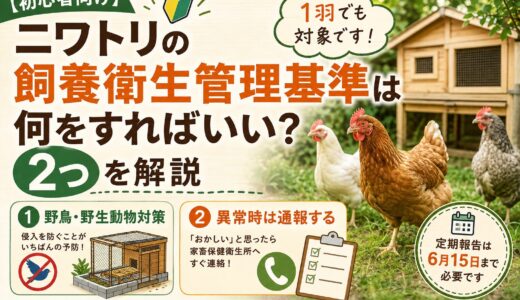 【初心者向け】ニワトリの飼養衛生管理基準は何をすればいい？2つを解説